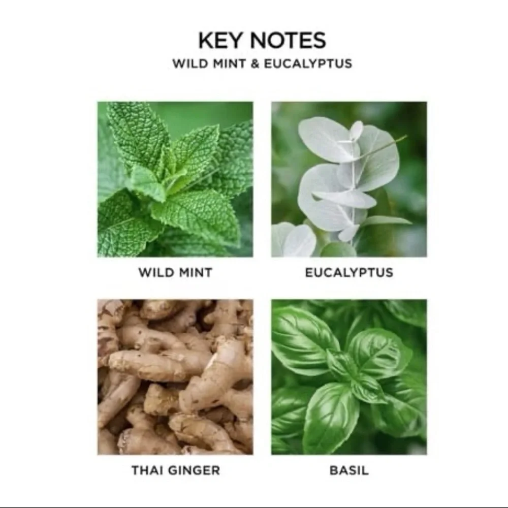 ⚡️Nest Wild Mint & Eucalyptus Reed Diffuser